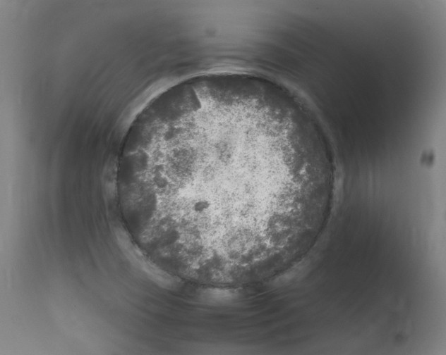 X0000111841409200909031652