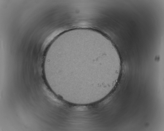 X0000111841410200909031652