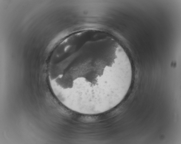 X0000111841411200909031652