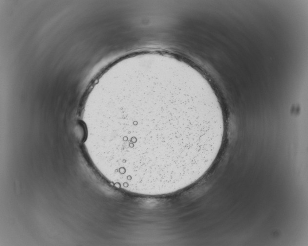 X0000111841412200909031652