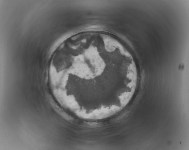 X0000111841413200909031652