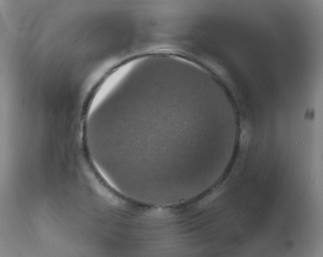 X0000111841414200909031652