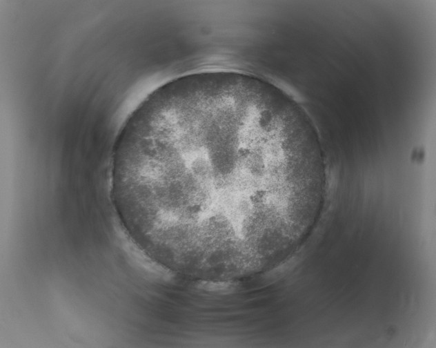 X0000111841415200909031652