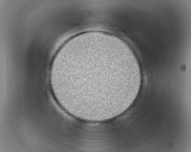 X0000111841416200909031652