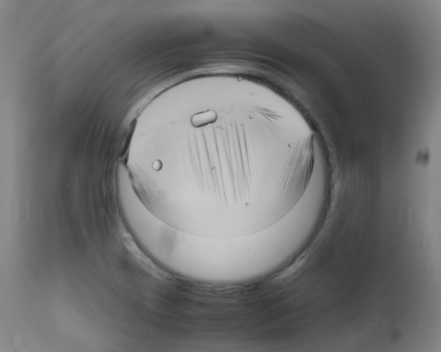 X0000111841417200909031652