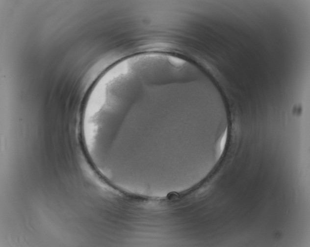 X0000111841418200909031652