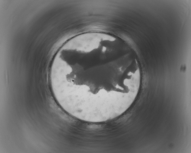 X0000111841419200909031652