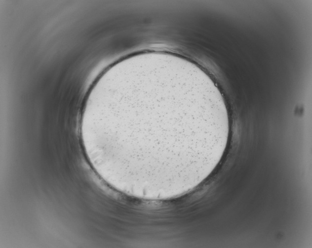 X0000111841420200909031652