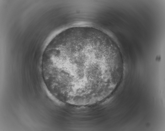 X0000111841421200909031652