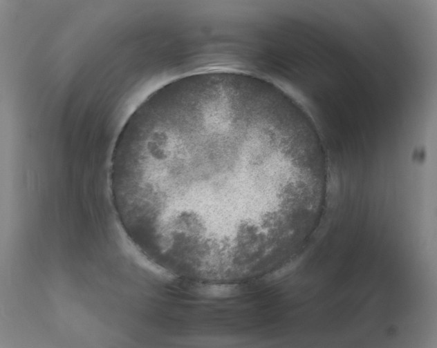 X0000111841423200909031652