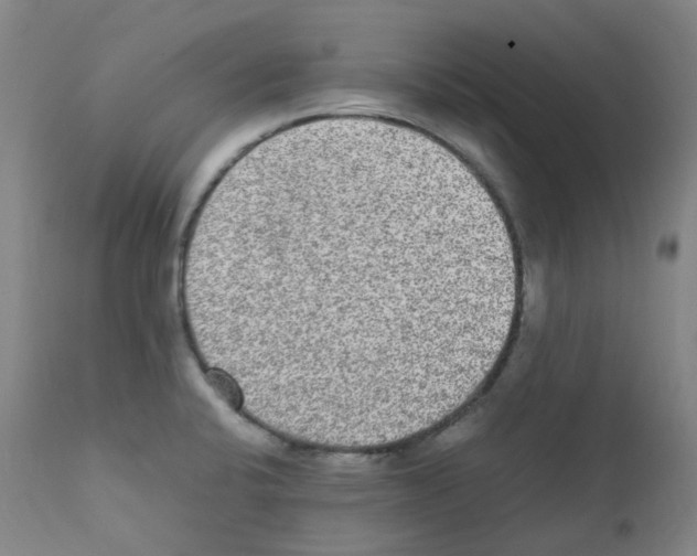 X0000111841424200909031652