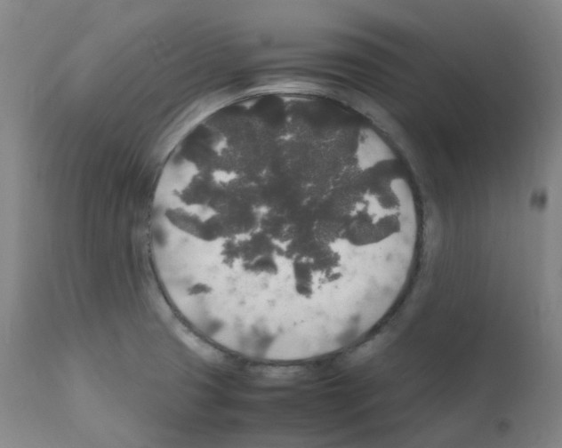 X0000111841425200909031652