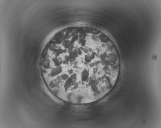 X0000111841429200909031652