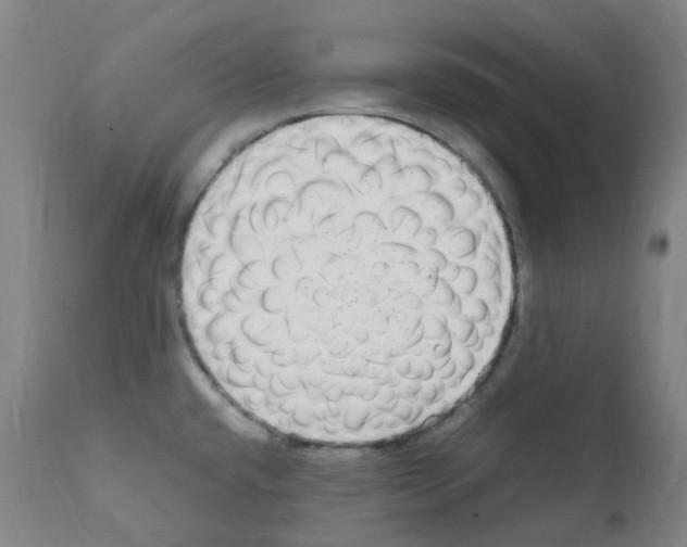 X0000111841432200909031652