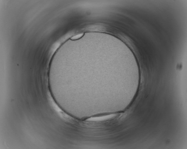 X0000111841434200909031652