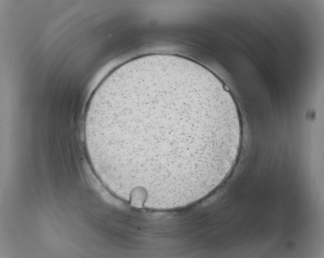 X0000111841436200909031652