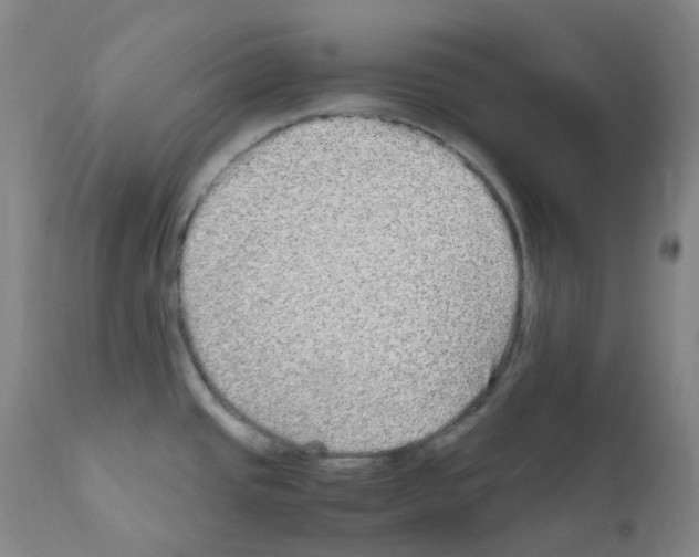 X0000111841437200909031652