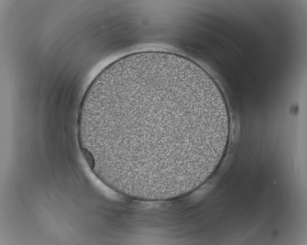 X0000111841438200909031652