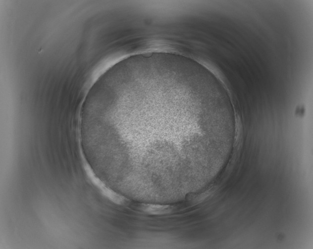 X0000111841439200909031652