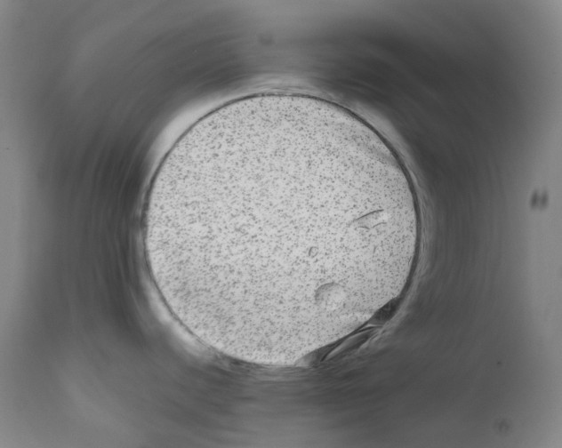 X0000111841440200909031652