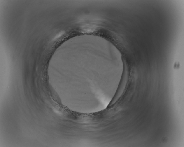 X0000111841441200909031652