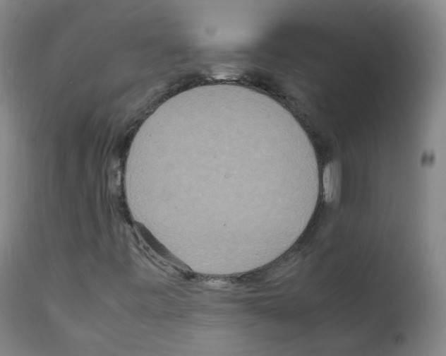 X0000111841443200909031652