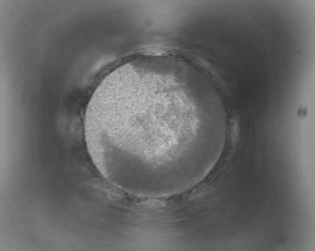 X0000111841446200909031652