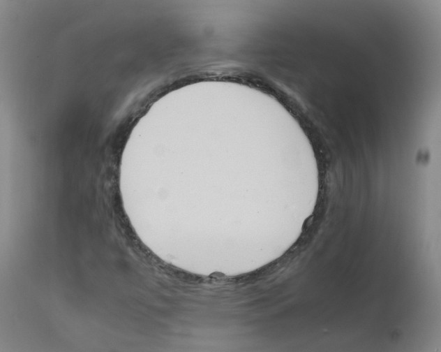 X0000111841447200909031652