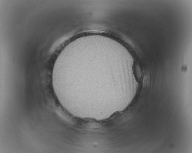 X0000111841448200909031652