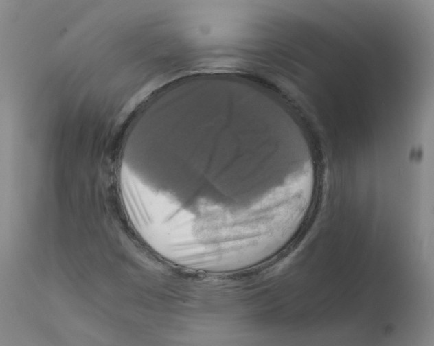 X0000111841449200909031652