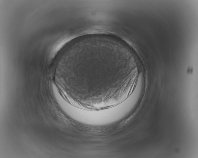 X0000111841453200909031652