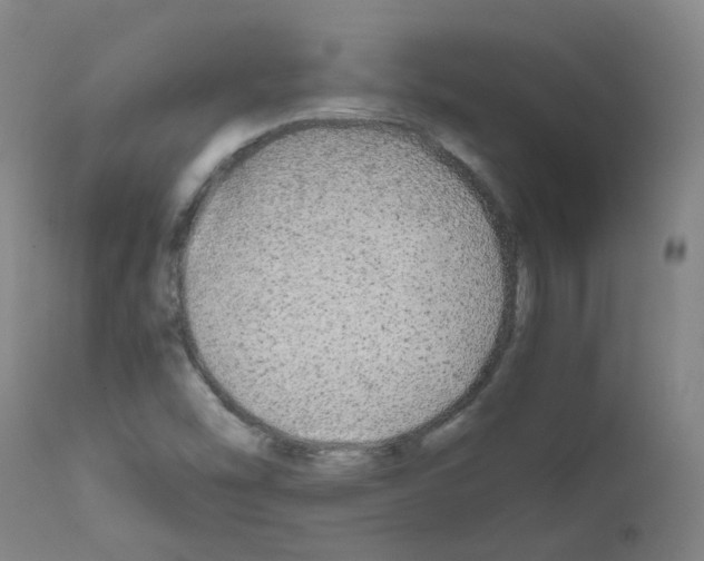 X0000111841454200909031652