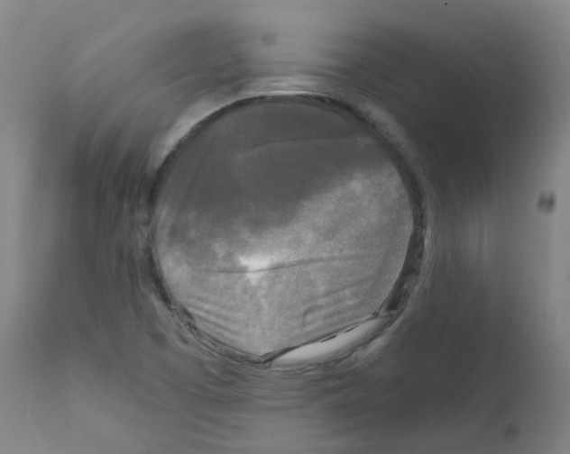 X0000111841457200909031652