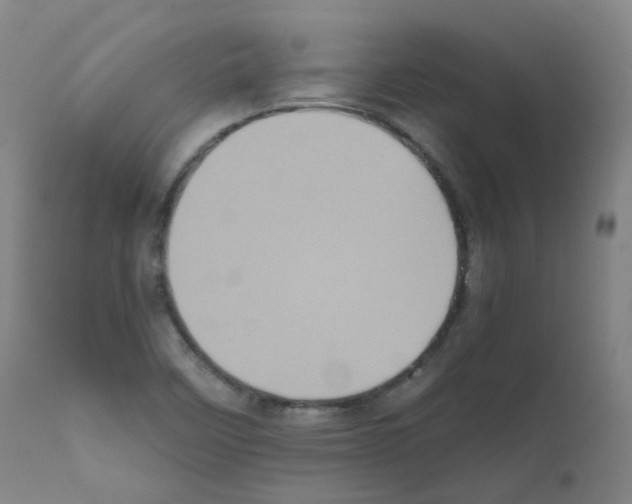 X0000111841458200909031652