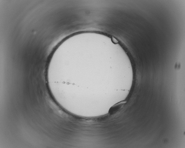 X0000111841460200909031651