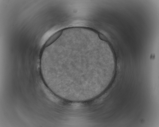 X0000111841461200909031651