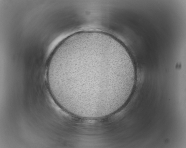 X0000111841462200909031651