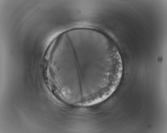 X0000111841463200909031651