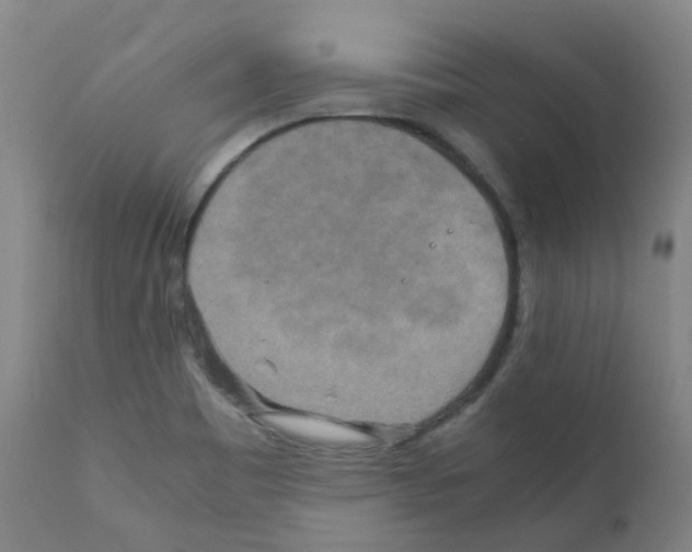 X0000111841465200909031651