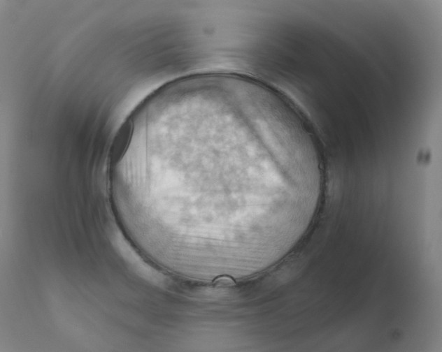 X0000111841468200909031651