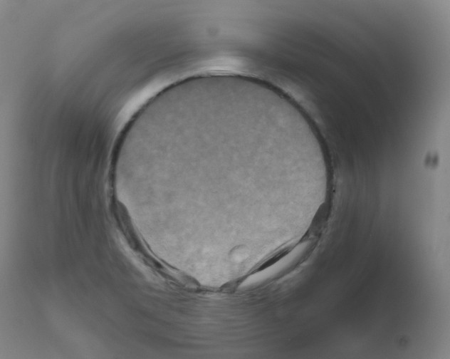 X0000111841469200909031651