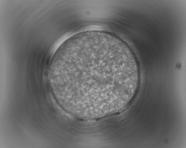 X0000111841473200909031651