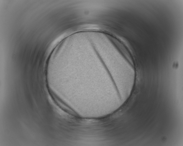 X0000111841475200909031651