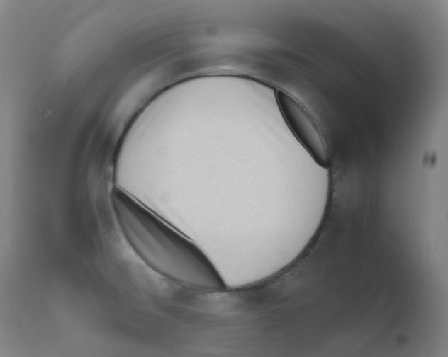 X0000111841476200909031651