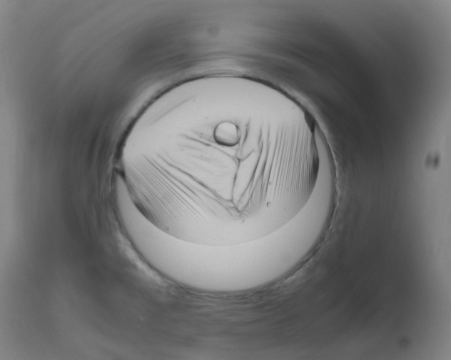 X0000111841477200909031651