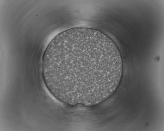 X0000111841479200909031651