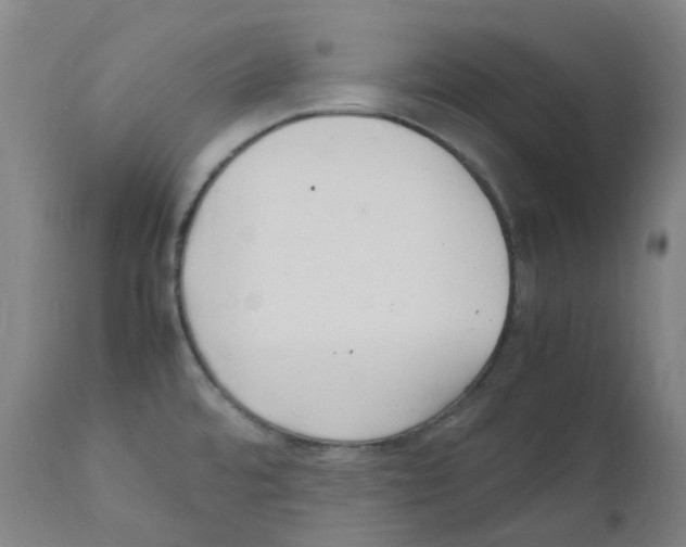 X0000111841480200909031651