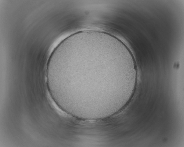 X0000111841485200909031651