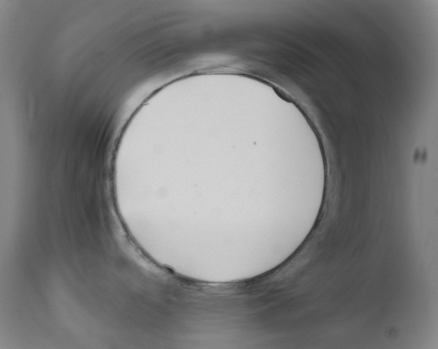 X0000111841488200909031651