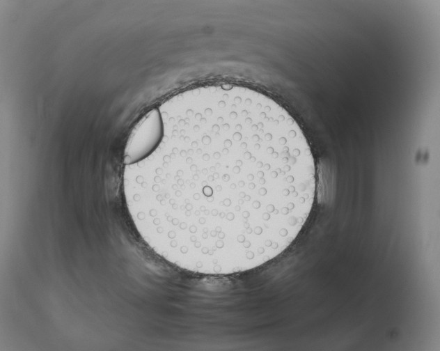 X0000111841491200909031650